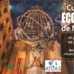 Curso de Economía de Mercado.