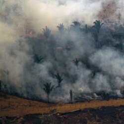 Amazonas: Un incendio en la batalla cultural