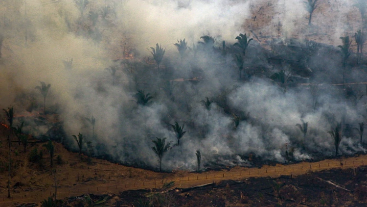 Lee más sobre el artículo Amazonas: Un incendio en la batalla cultural