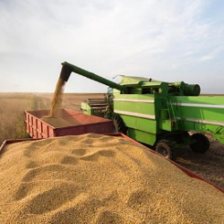 La ‘reforma agraria’ que va en contra de la racionalidad