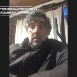 El presente y futuro de la Horticultura y la Citricultura de Corrientes