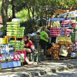 INFORMALIDAD ECONÓMICA: EL CAMINO LIBERAL